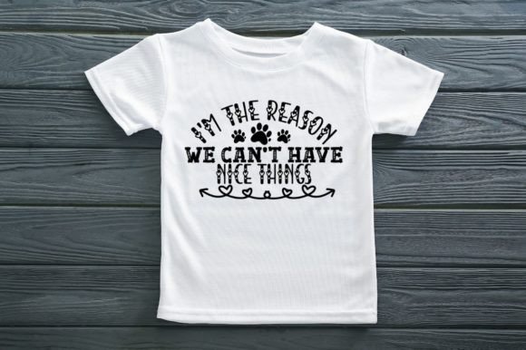 I M the REASON WE CAN T HAVE NICE THINGS Graphics for T-Shirt Designs